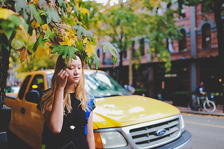 Rule of Thirds Photography of Girl Holding Tree Leaves thumbnail