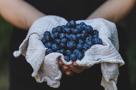 Blueberries In Hand Photo thumbnail