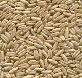 brown beans thumbnail