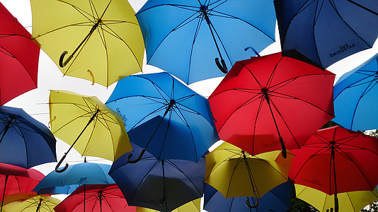assorted-color umbrella lot thumbnail