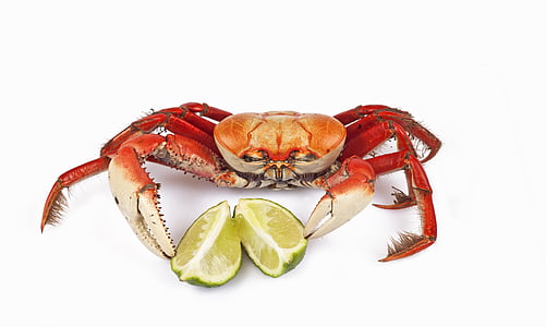 sliced lime and crab thumbnail