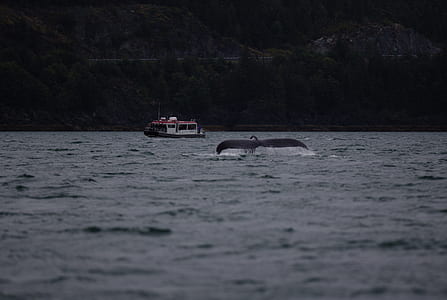 boat sailing on body of water thumbnail