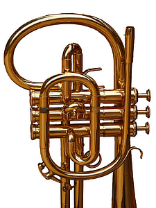 brass-colored wind instrument thumbnail