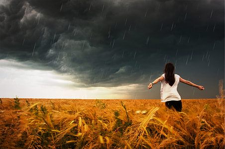 woman wearing white cap-sleeved shirt and black pants at wheat field thumbnail