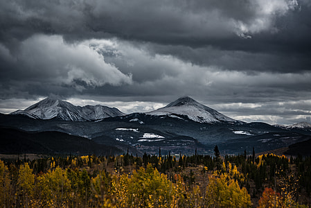 green leafed trees near mountain thumbnail