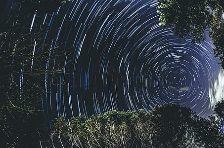 time lapse photography of stars and trees thumbnail