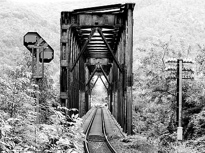 train railroad between tall trees grayscale photo thumbnail