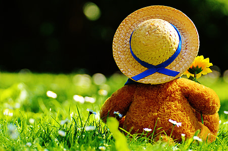brown plush toy in shallow focus shot thumbnail