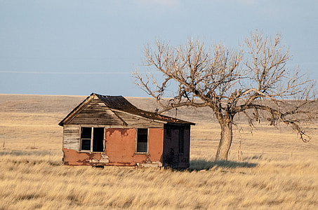 brown and orange house beside tree surrounded by grass under blue sky at daytime thumbnail