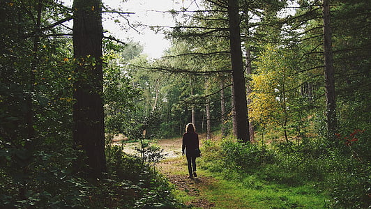 woman standing in between green leafed trees thumbnail