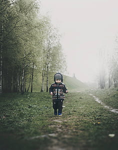 boy walkthrough surrounded by green grass near brown leaf trees under cloudy sky at daytime thumbnail