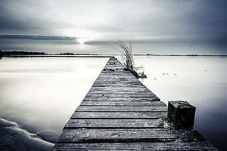 greyscale photography of dock thumbnail