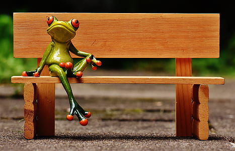 green frog on brown wooden bench wallpaper thumbnail