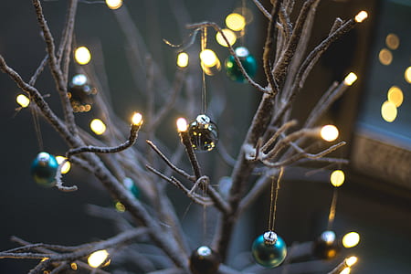 green bauble on bare tree thumbnail