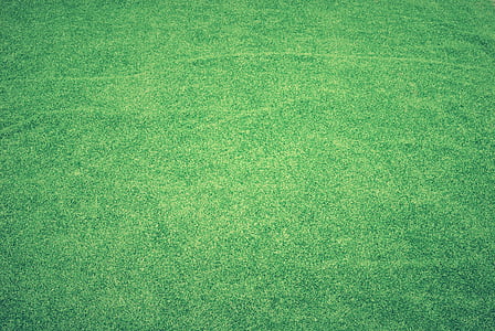 aerial view of sod grass thumbnail