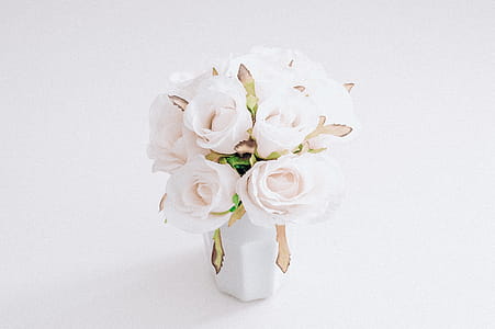 White Faux Rose Flowers in White Vase Closeup Photo thumbnail