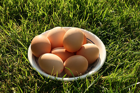 native eggs thumbnail