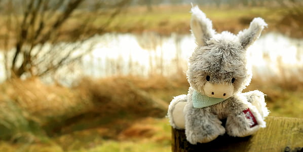 gray animal plush toy thumbnail