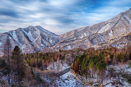 green leafed trees near mountain thumbnail