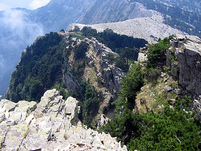 aerial photography of trees and cliffs thumbnail
