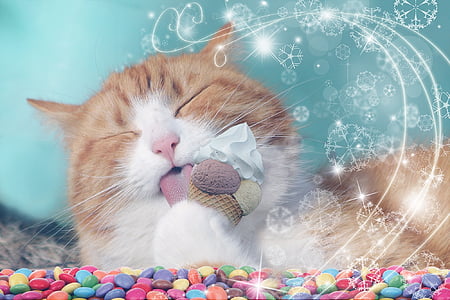 orange tabby cat licking ice cream thumbnail