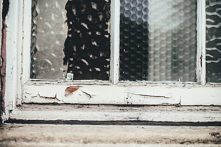 close up photo of windowpane thumbnail