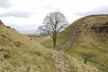 Sycamore Gap, Hadrian'S Wall thumbnail