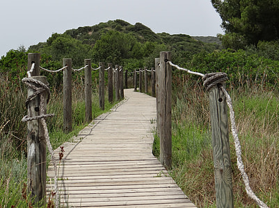 brown wooden dock surrounded by green trees under white sky thumbnail