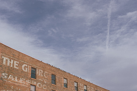 birds perching on brown building thumbnail