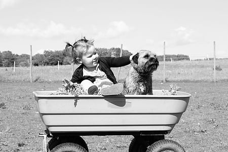 grayscale photo of child with dog on wagon thumbnail