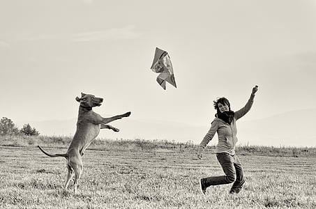 grayscale photography of running woman chasing by dog thumbnail