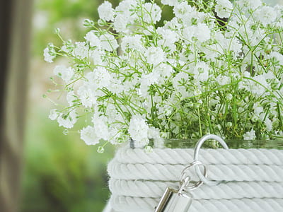 focused photo of white flower thumbnail