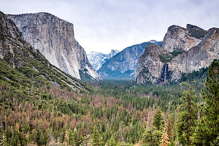 mountain surrounded by forest thumbnail