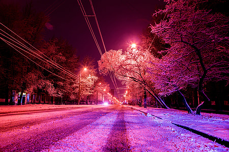 sidewalk near trees during night time thumbnail
