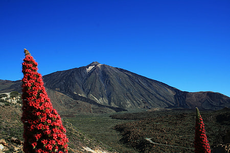 Teide National Park, Tajinaste Rojo thumbnail