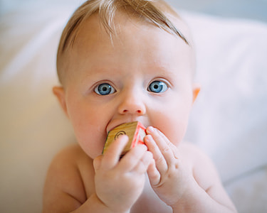 baby eating wooden block thumbnail