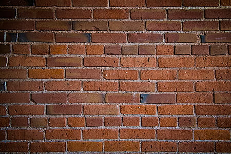 closeup photo of brown brick wall thumbnail