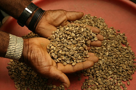 coffee beans, raw, brown, agriculture, farmer, merchant thumbnail