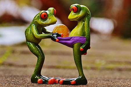 closeup photo of two green-and-red frog figurines thumbnail