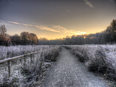 photo of grass field during golden hour thumbnail