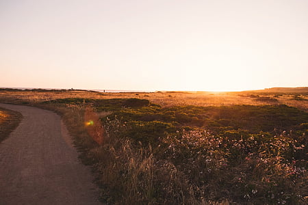 landscape photography of green field thumbnail