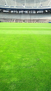 green grass NFL filed thumbnail