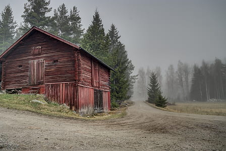 red wooden barn along road at daytime thumbnail