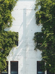 photo of white pipes beside trees thumbnail