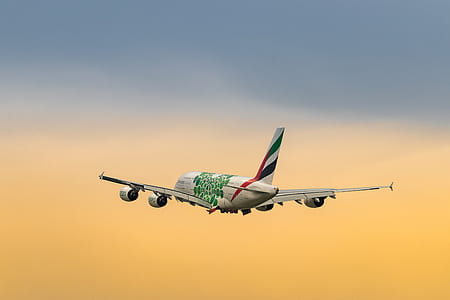 photo of white and green airplane thumbnail