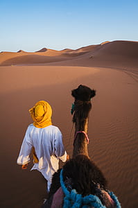 man wearing yellow turban beside brown camel on desert thumbnail