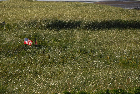 American flag on green field thumbnail