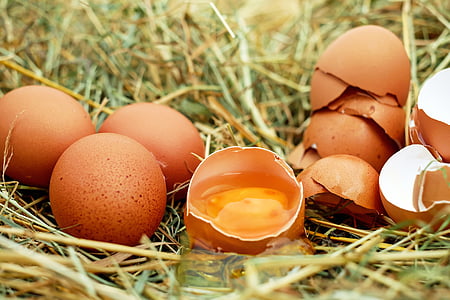 brown eggs and one brown eggs broken thumbnail