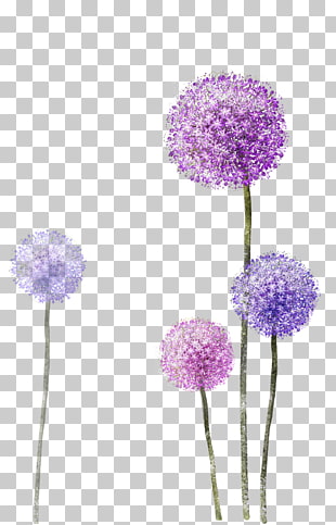 Paper , Purple Dandelion, purple and purple dandelion flowers PNG clipart