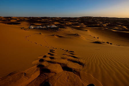 Footprints in Desert thumbnail